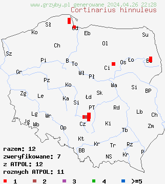znaleziska Cortinarius hinnuleus na terenie Polski