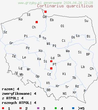 znaleziska Cortinarius quarciticus na terenie Polski