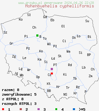 znaleziska Hohenbuehelia cyphelliformis na terenie Polski