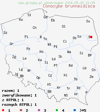 znaleziska Conocybe brunneidisca (stożkówka soczewkowatozarodnikowa) na terenie Polski