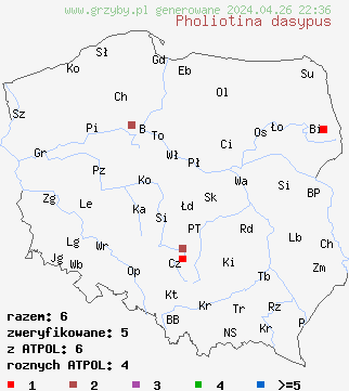 znaleziska Pholiotina dasypus na terenie Polski
