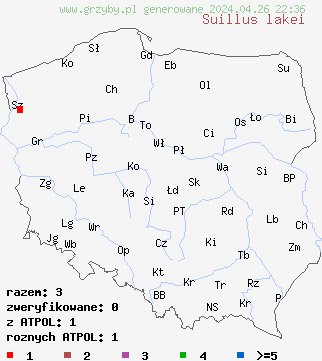 znaleziska Suillus lakei na terenie Polski
