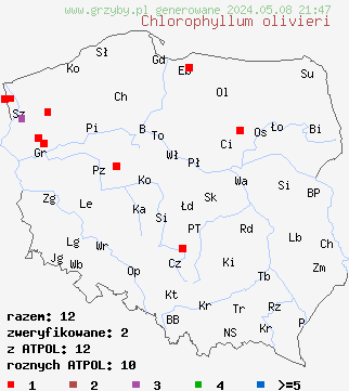 znaleziska Chlorophyllum olivieri (czubajnik ponury) na terenie Polski