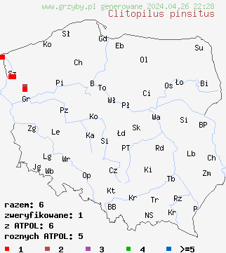 znaleziska Clitopilus pinsitus na terenie Polski
