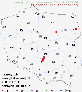 znaleziska Byssonectria terrestris na terenie Polski
