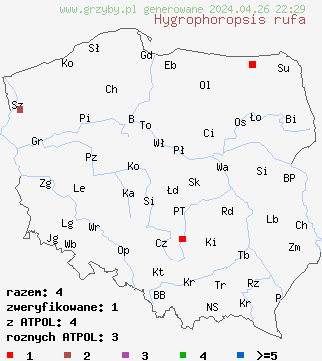 znaleziska Hygrophoropsis rufa na terenie Polski