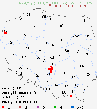 znaleziska Phaeosolenia densa na terenie Polski