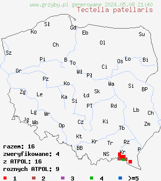 znaleziska Tectella patellaris (beztrzonka lepka) na terenie Polski