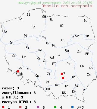 znaleziska Amanita echinocephala na terenie Polski
