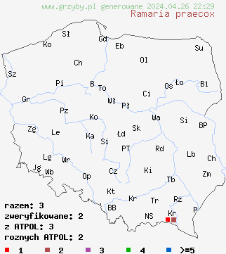 znaleziska Ramaria praecox na terenie Polski