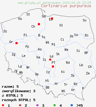 znaleziska Cortinarius purpureus na terenie Polski