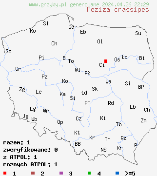 znaleziska Peziza crassipes na terenie Polski
