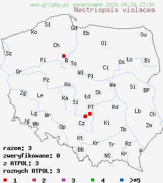 znaleziska Nectriopsis violacea na terenie Polski