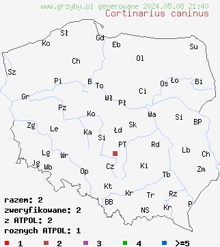 znaleziska Cortinarius caninus (zasłonak rdzawobrązowy) na terenie Polski