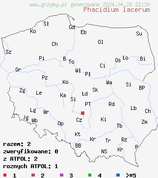 znaleziska Phacidium lacerum na terenie Polski