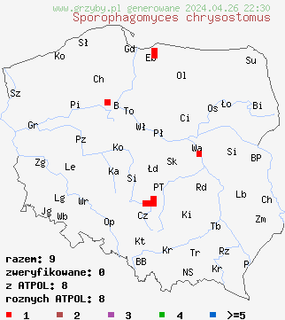 znaleziska Sporophagomyces chrysostomus na terenie Polski