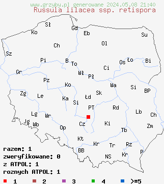 znaleziska Russula lilacea ssp. retispora na terenie Polski