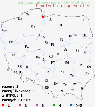 znaleziska Coprinellus pyrrhanthes na terenie Polski