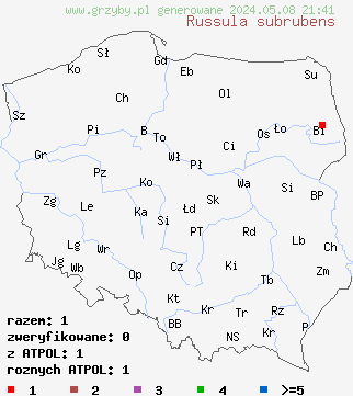 znaleziska Russula subrubens na terenie Polski