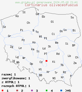 znaleziska Cortinarius olivaceofuscus (zasłonak grabowy) na terenie Polski