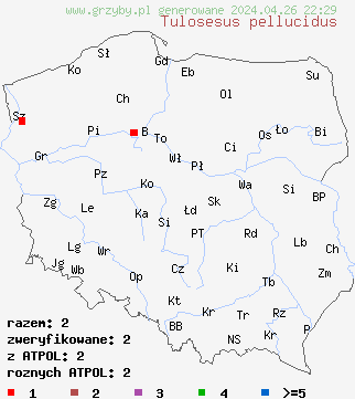 znaleziska Tulosesus pellucidus na terenie Polski