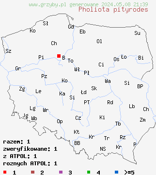 znaleziska Pholiota pityrodes na terenie Polski