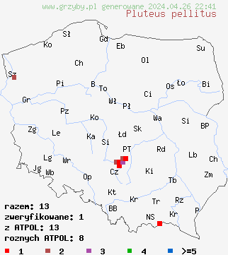 znaleziska Pluteus pellitus na terenie Polski