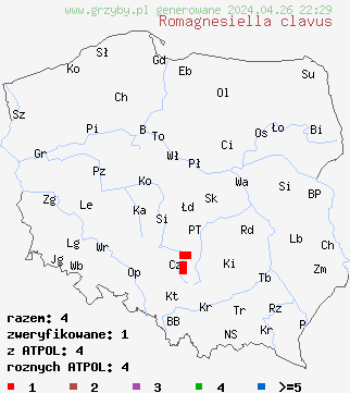 znaleziska Romagnesiella clavus na terenie Polski