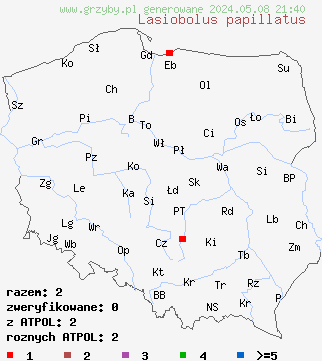znaleziska Lasiobolus papillatus (włochatek koński) na terenie Polski