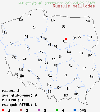 znaleziska Russula melitodes na terenie Polski
