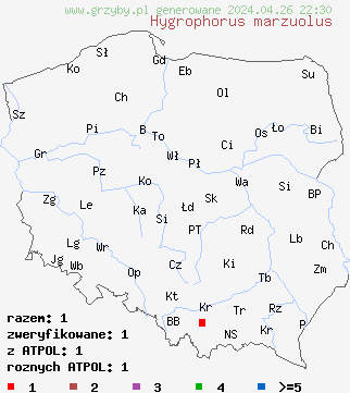 znaleziska Hygrophorus marzuolus (wodnicha marcowa) na terenie Polski
