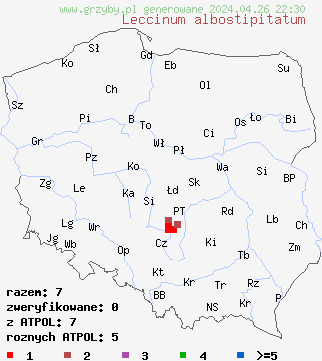 znaleziska Leccinum albostipitatum na terenie Polski