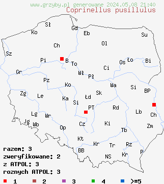 znaleziska Coprinellus pusillulus na terenie Polski