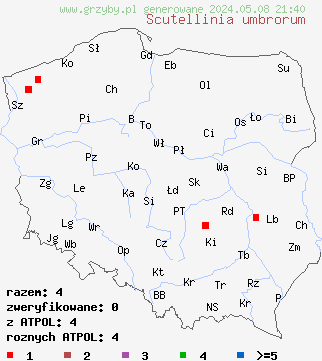 znaleziska Scutellinia umbrorum na terenie Polski