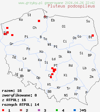 znaleziska Pluteus podospileus na terenie Polski