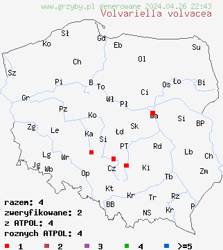 znaleziska Volvariella volvacea na terenie Polski