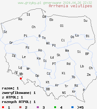 znaleziska Arrhenia velutipes na terenie Polski