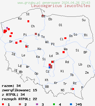 znaleziska Leucoagaricus leucothites na terenie Polski
