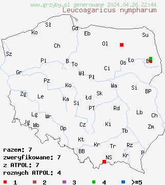 znaleziska Leucoagaricus nympharum na terenie Polski