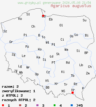 znaleziska Agaricus augustus (pieczarka okazała) na terenie Polski
