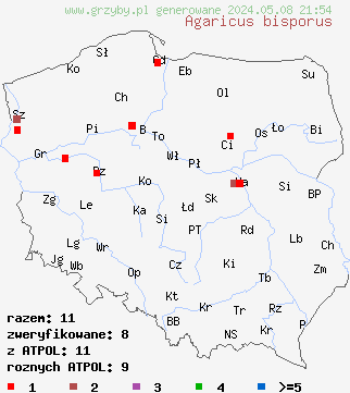 znaleziska Agaricus bisporus (pieczarka dwuzarodnikowa) na terenie Polski