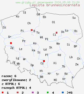 znaleziska Lepiota brunneoincarnata (czubajeczka brązowoczerwonawa) na terenie Polski