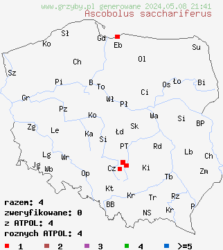 znaleziska Ascobolus sacchariferus (rzutka cukrowana) na terenie Polski