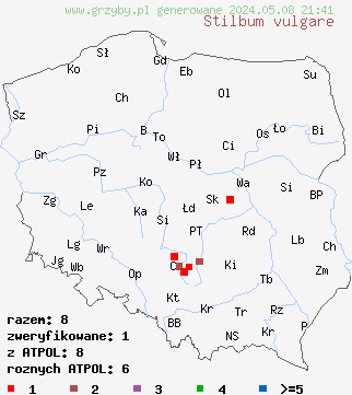 znaleziska Stilbum vulgare na terenie Polski
