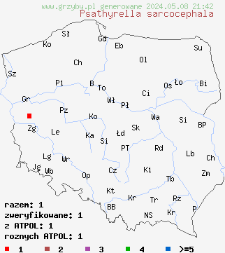 znaleziska Psathyrella sarcocephala na terenie Polski