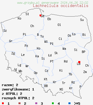 znaleziska Lachnellula occidentalis na terenie Polski