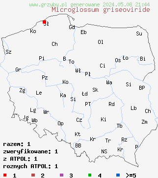 znaleziska Microglossum griseoviride (małozorek szarozielony) na terenie Polski