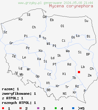 znaleziska Mycena corynephora na terenie Polski