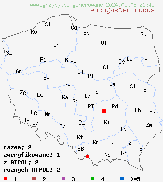 znaleziska Leucogaster nudus (białobrzuszek gładki) na terenie Polski