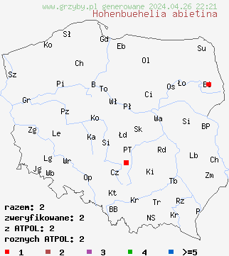 znaleziska Hohenbuehelia abietina na terenie Polski
